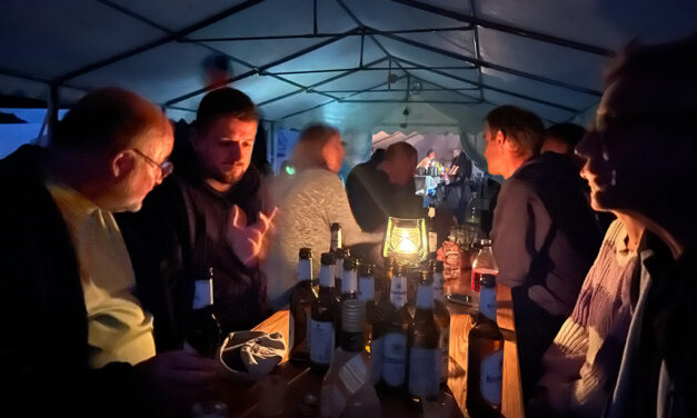 Volleyballer zu Besuch im Zeltlager